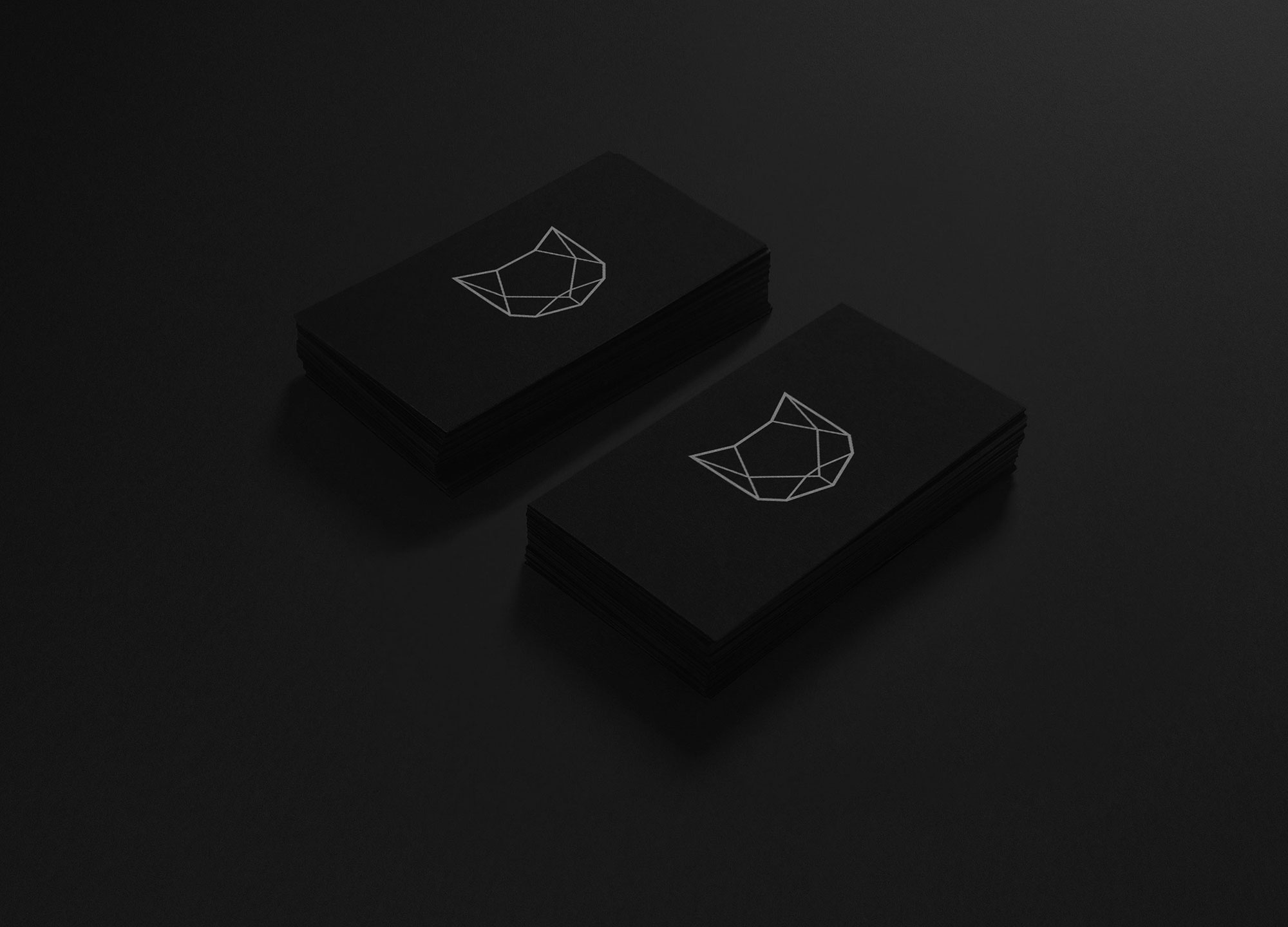 Paradoxic Website